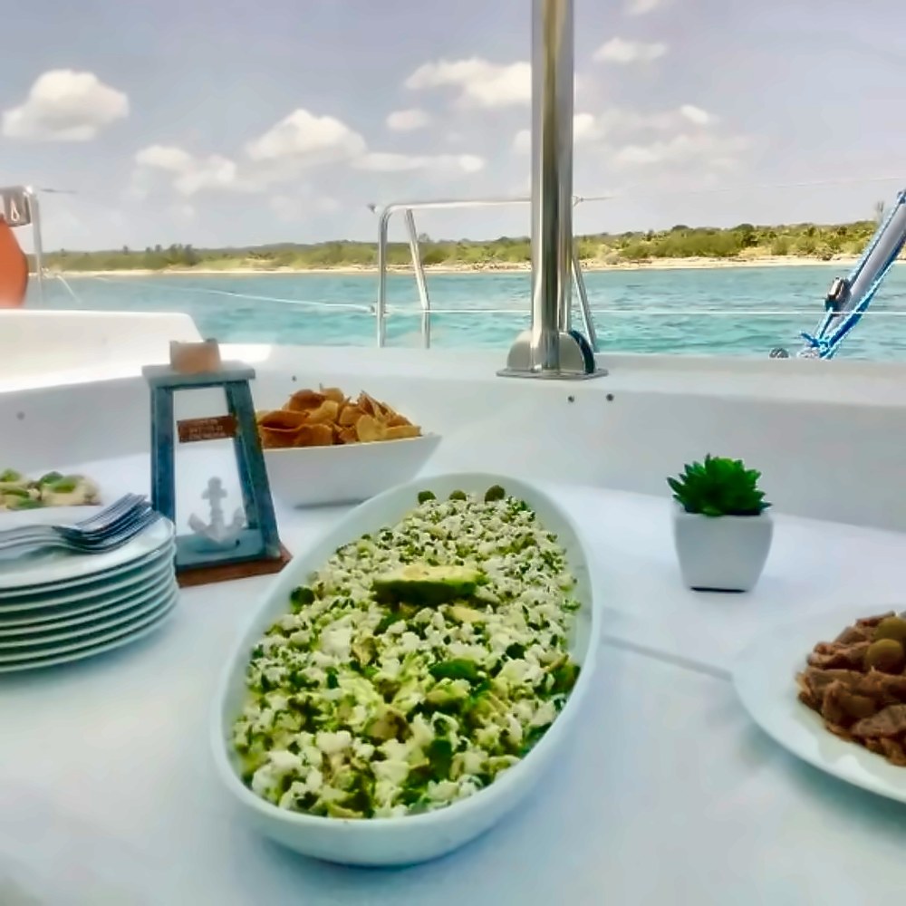 Fresh ceviche served on a private catamaran with the Riviera Maya coast behind